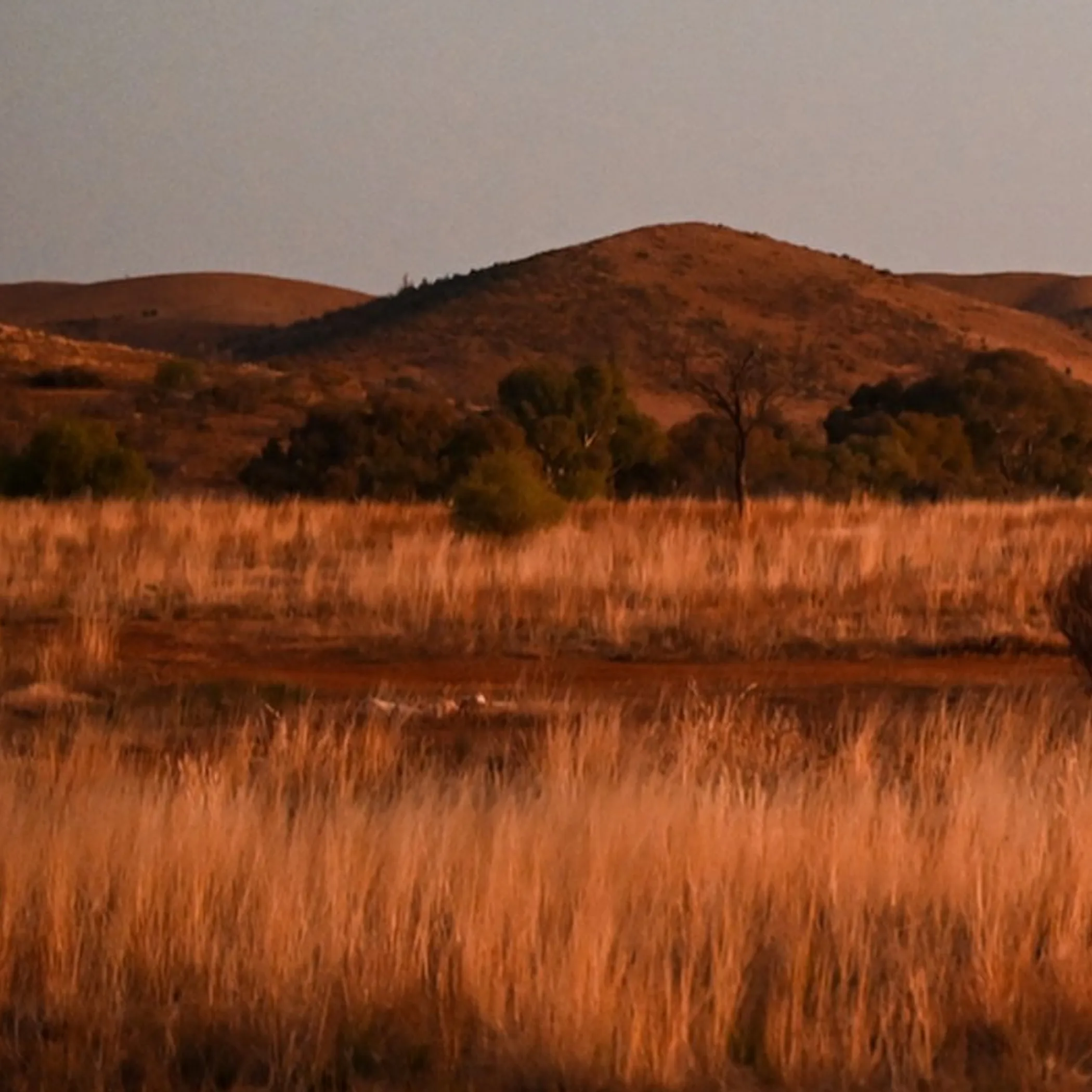campsite landscape photograph